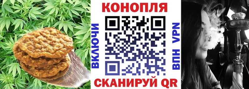 гидра ссылки  Байкальск  Canna-Cookies марихуана  хочу наркоту 