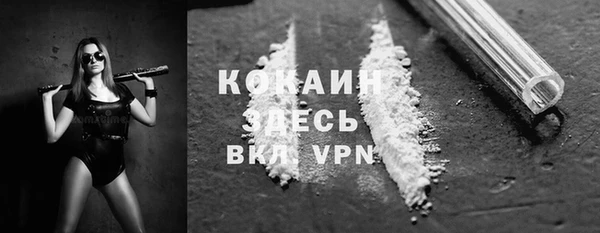 кокс Алексин