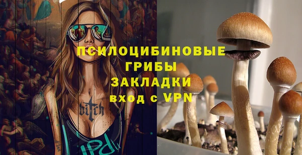 jwh Алзамай