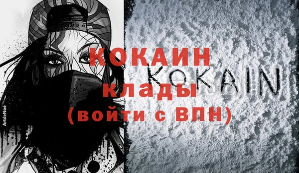 кокс Алексин