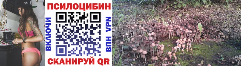 Псилоцибиновые грибы Psilocybe МЕГА ТОР Байкальск