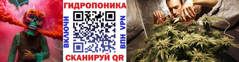 Канабис планчик  Байкальск 